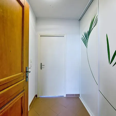 Rossi - - Welkeys 阿雅克肖