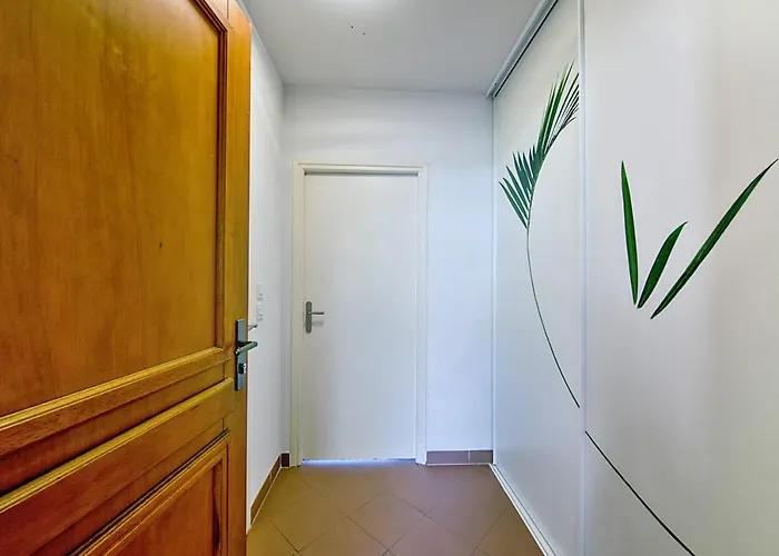 Rossi - - Welkeys Ajaccio (Corsica)